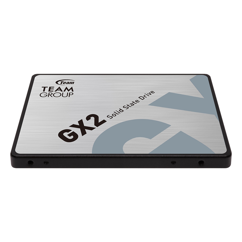 GX2 2.5 SOLID STATE TEAM GROUP 256GB