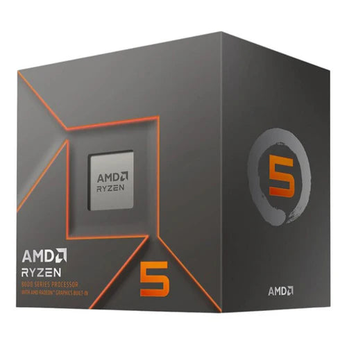 AMD RYZEN 5 8600G