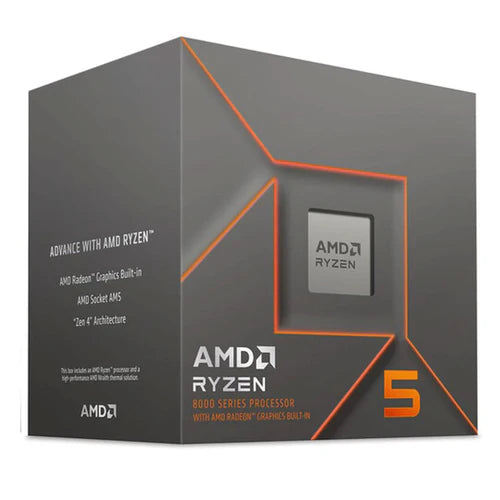 AMD RYZEN 5 8600G