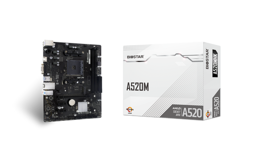 BIOSTAR A520MHK