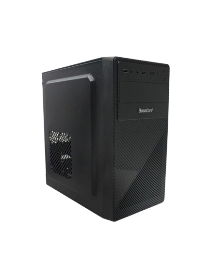 BOSSTON REGULAR CASE (NO PSU)