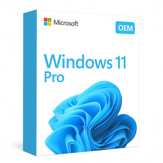 MS WINDOWS 11 PRO (OEM)